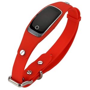 Collier S1 GPS