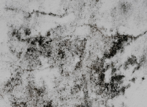 Capture d'écran du 06/04/2023 au 21/12/30