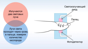 Comment utiliser le moniteur de fréquence cardiaque