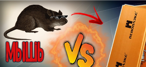 Mousse plastique, penoplex et souris