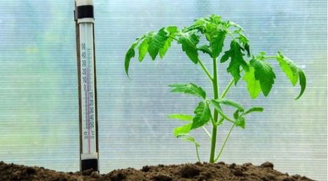 Comment isoler une serre en polycarbonate